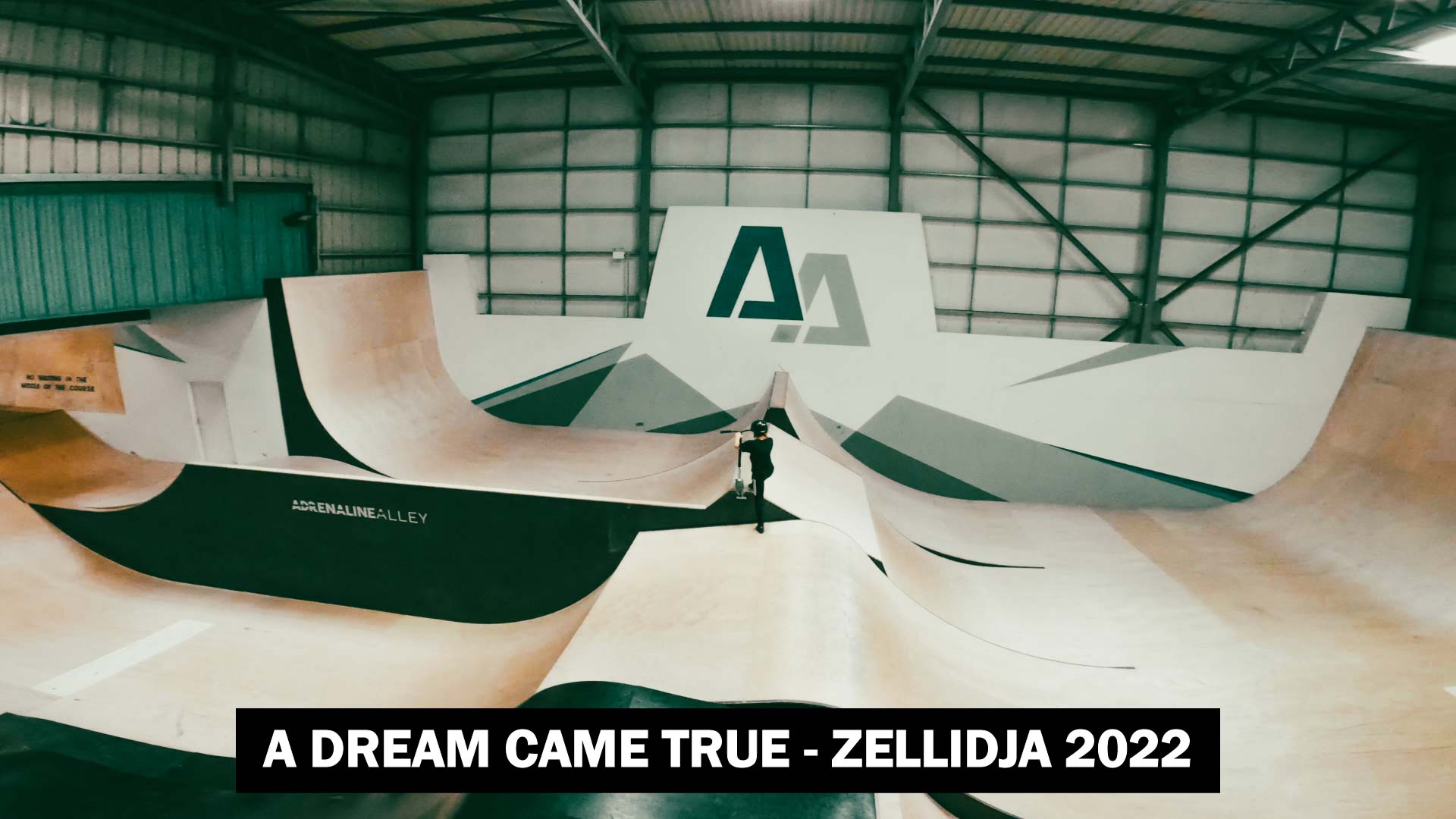 Miniature de la vidéo "A dream came true" avec en fond un skate-park. Photo de Romain Vidal, souriant avec un appareil photo à la main et descendant les escaliers. Vidéaste & Photographe à Clermont-Ferrand.